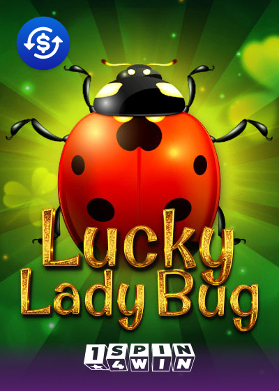 Lucky Lady Bug