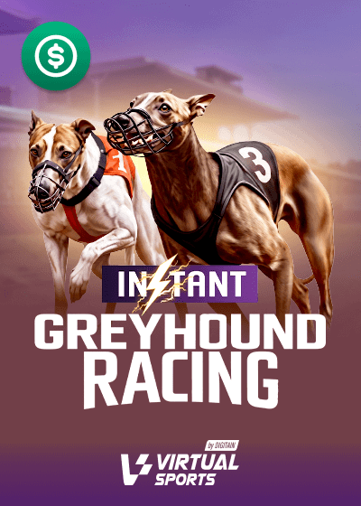 Instant Greyhounds
